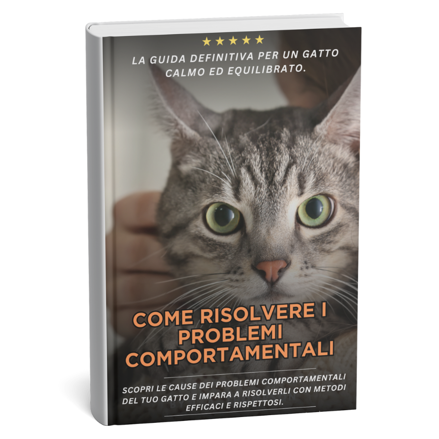 Ebook - Come risolvere i problemi comportamentali