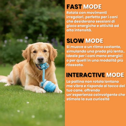 Teddyloo™ – Gioco Interattivo per la stimolazione 2.0