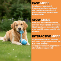 Teddyloo™ – Gioco Interattivo per la stimolazione 2.0