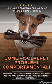 Ebook - Come risolvere i problemi comportamentali