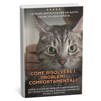 Ebook - Come risolvere i problemi comportamentali