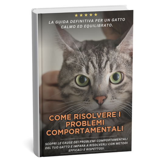 Ebook - Come risolvere i problemi comportamentali