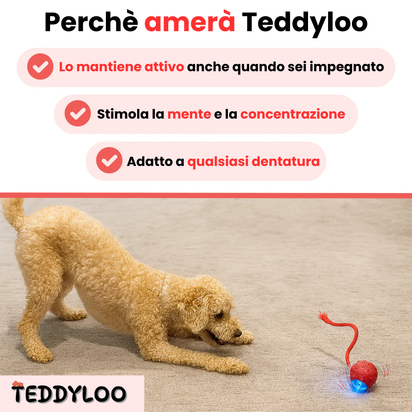 Teddyloo™ – Palla Interattiva per la stimolazione