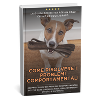 Ebook - Come risolvere i problemi comportamentali