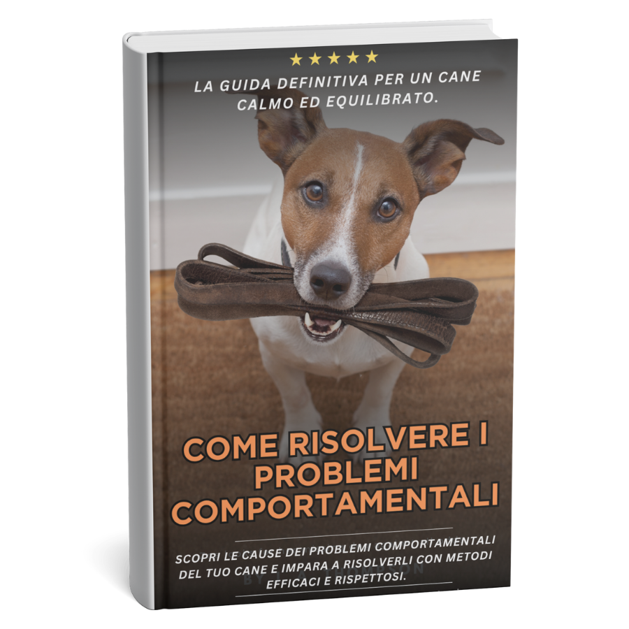 Ebook - Come risolvere i problemi comportamentali
