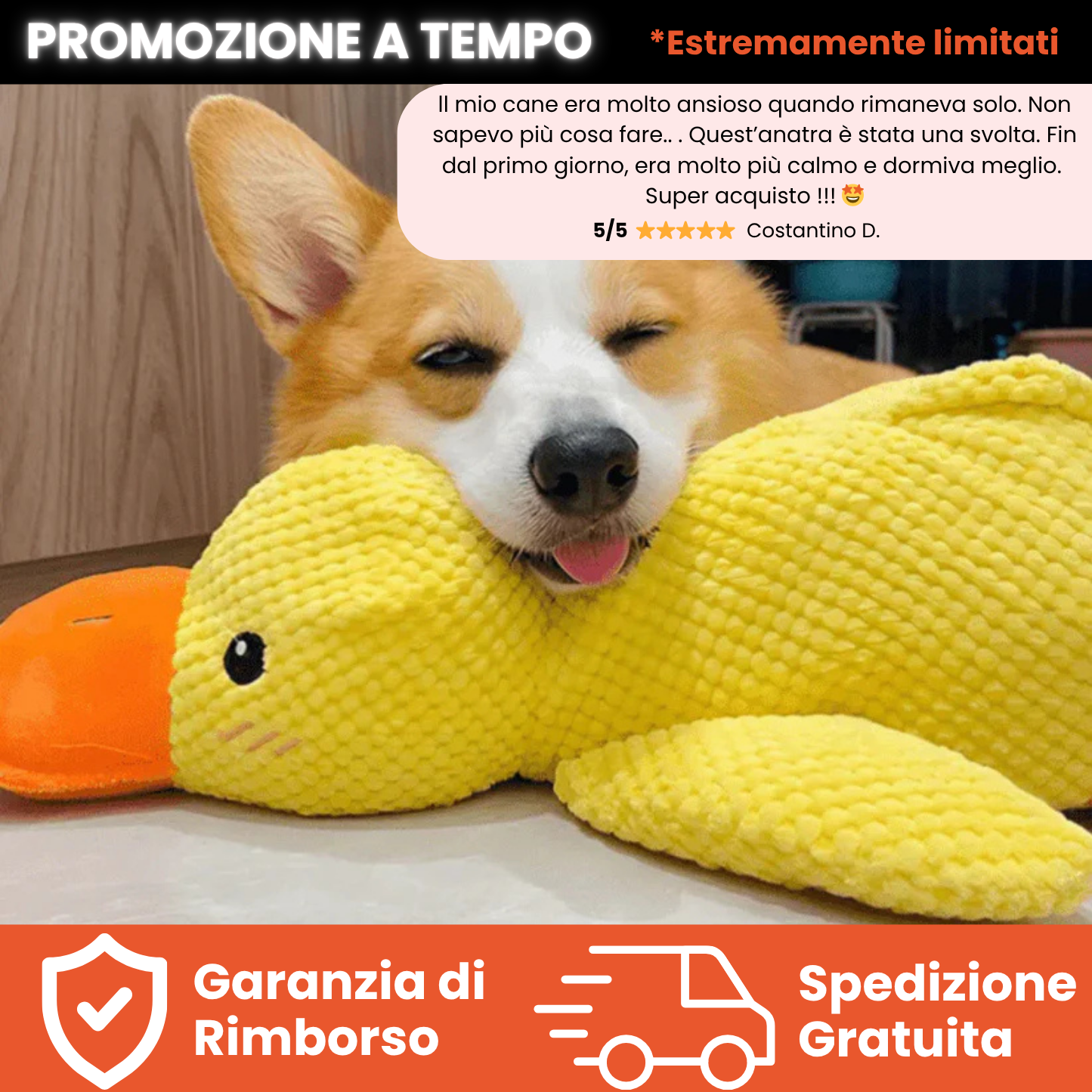 Anatra Calmante Teddyloo™  | Riduce l'ansia e lo stress