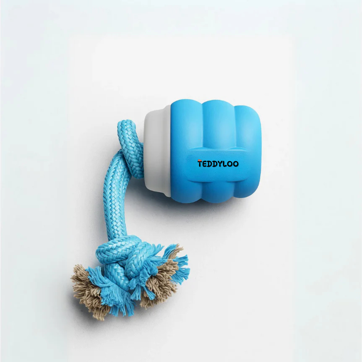 Teddyloo™ – Gioco Interattivo per la stimolazione 2.0