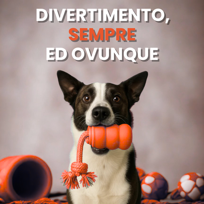 Teddyloo™ – Gioco Interattivo per la stimolazione 2.0