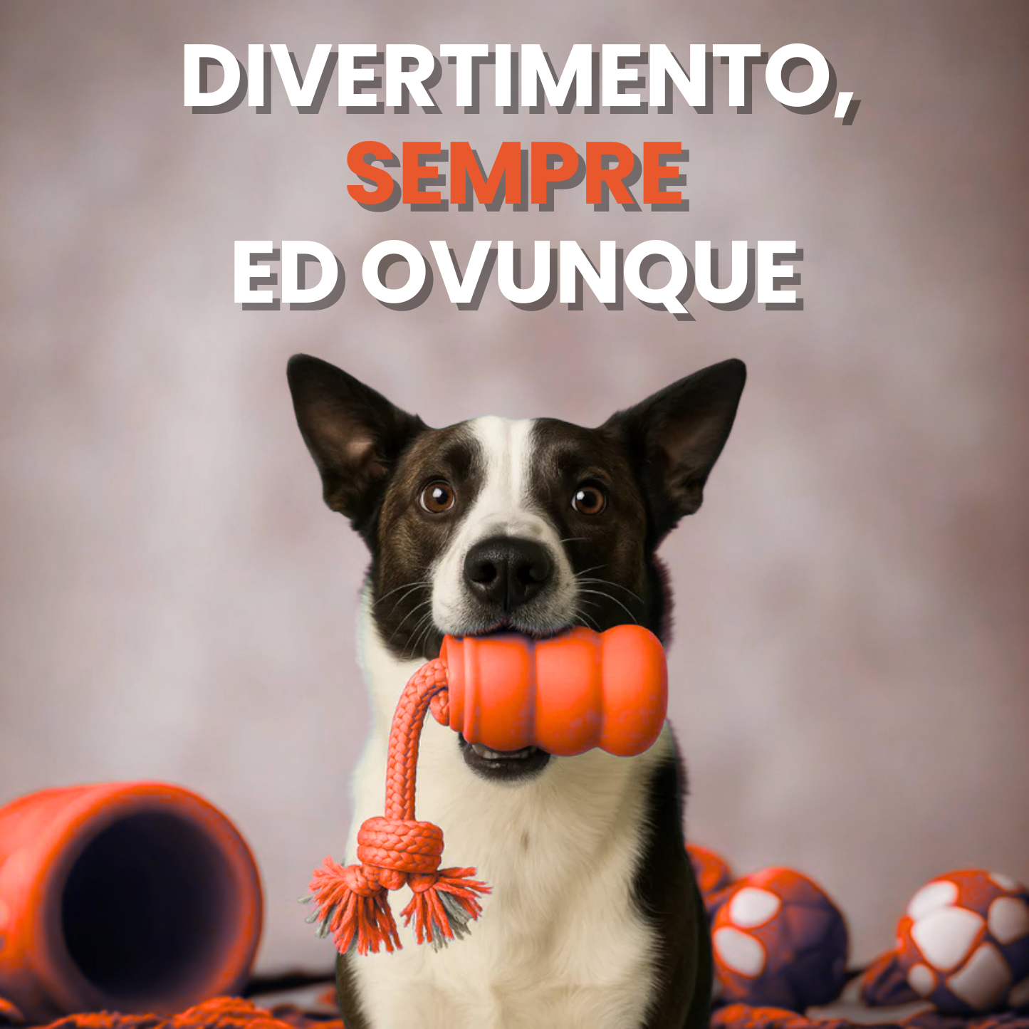 Teddyloo™ – Gioco Interattivo per la stimolazione 2.0