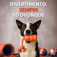 Teddyloo™ – Gioco Interattivo per la stimolazione 2.0