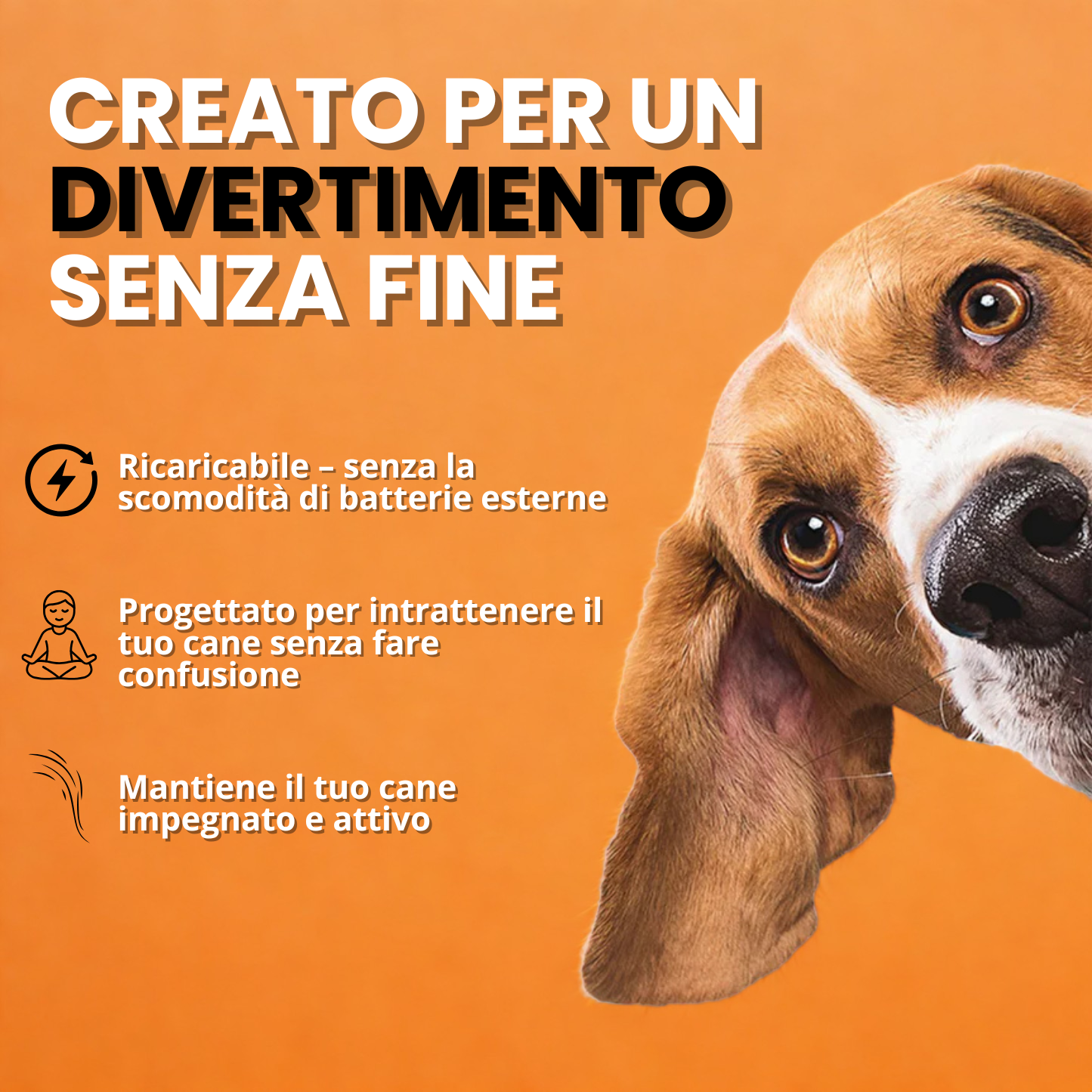 Teddyloo™ – Gioco Interattivo per la stimolazione 2.0