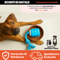 Teddyloo™ – Gioco Interattivo per la stimolazione 2.0