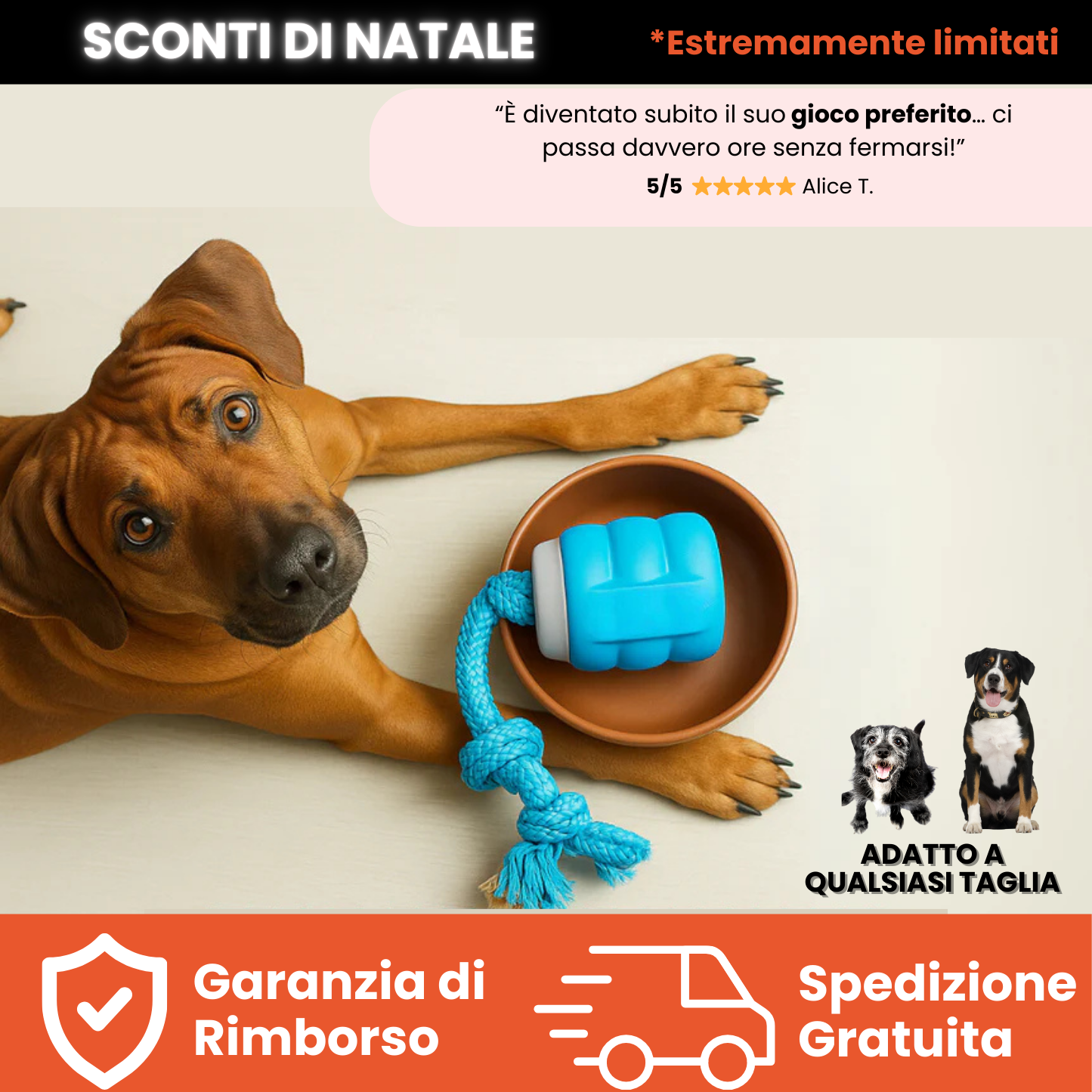 Teddyloo™ – Gioco Interattivo per la stimolazione 2.0