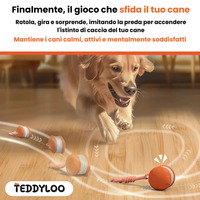 Teddyloo™ – Gioco Interattivo per la stimolazione 3.0