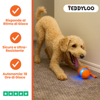 Teddyloo™ – Gioco Interattivo per la stimolazione 3.0