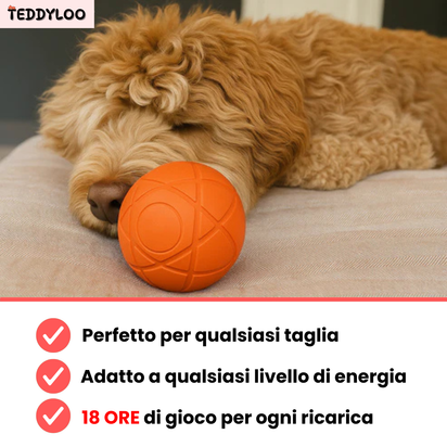 Teddyloo™ Palla interattiva - Senza filo