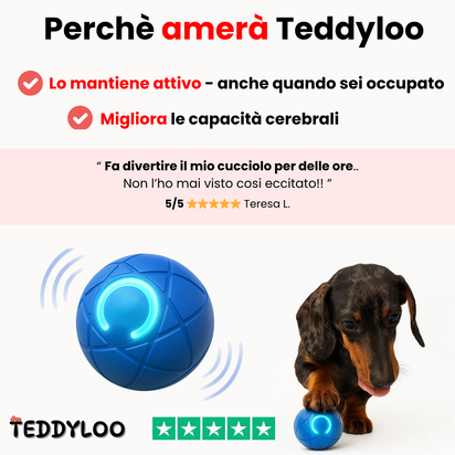 Teddyloo™ Palla interattiva - Senza filo