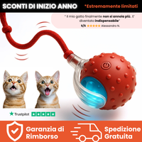 Teddyloo™ – Palla Interattiva per la stimolazione mentale