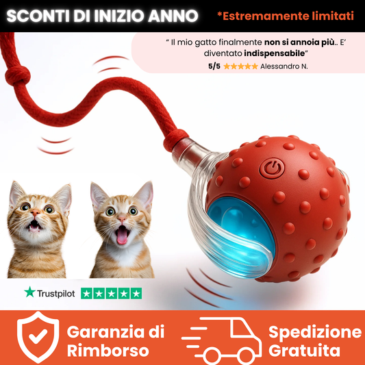 Teddyloo™ – Palla Interattiva per la stimolazione mentale