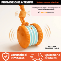 Teddyloo™ – Gioco Interattivo per la stimolazione 3.0
