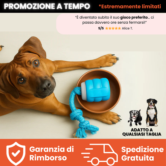 Teddyloo™ – Gioco Interattivo per la stimolazione 2.0