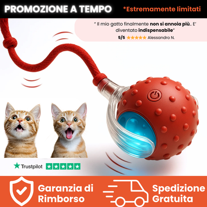 Teddyloo™ – Palla Interattiva per la stimolazione mentale