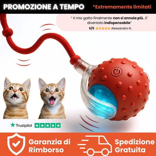 Teddyloo™ – Palla Interattiva per la stimolazione mentale